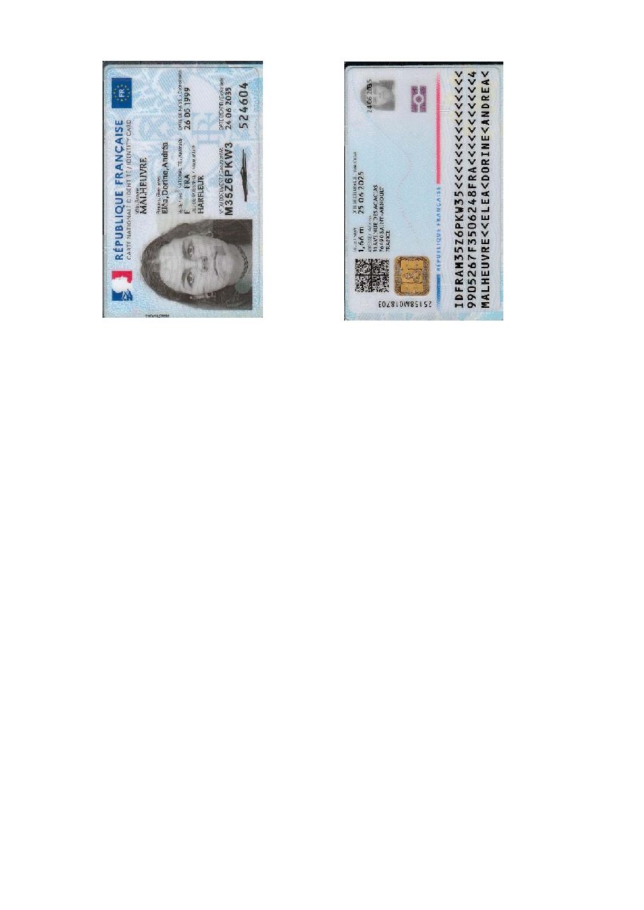 Aperçu de carte d'identité-1.pdf