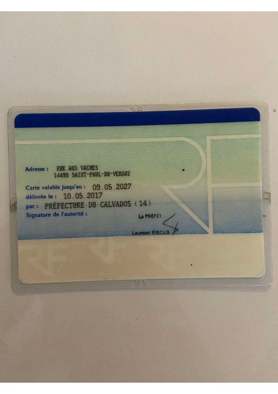 Aperçu de Carte identité Orianne recto verso .pdf