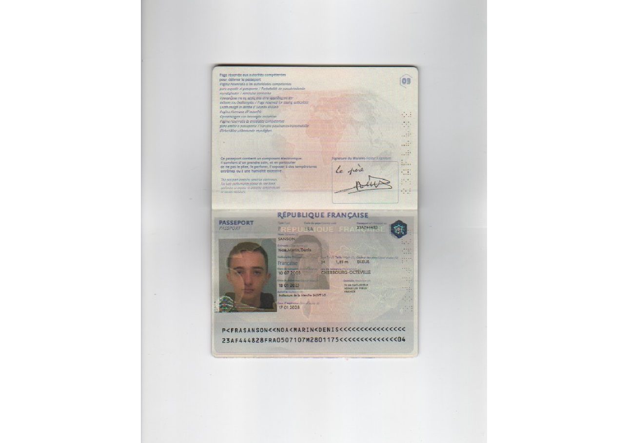 Aperçu de Passeport Sanson Noa.pdf