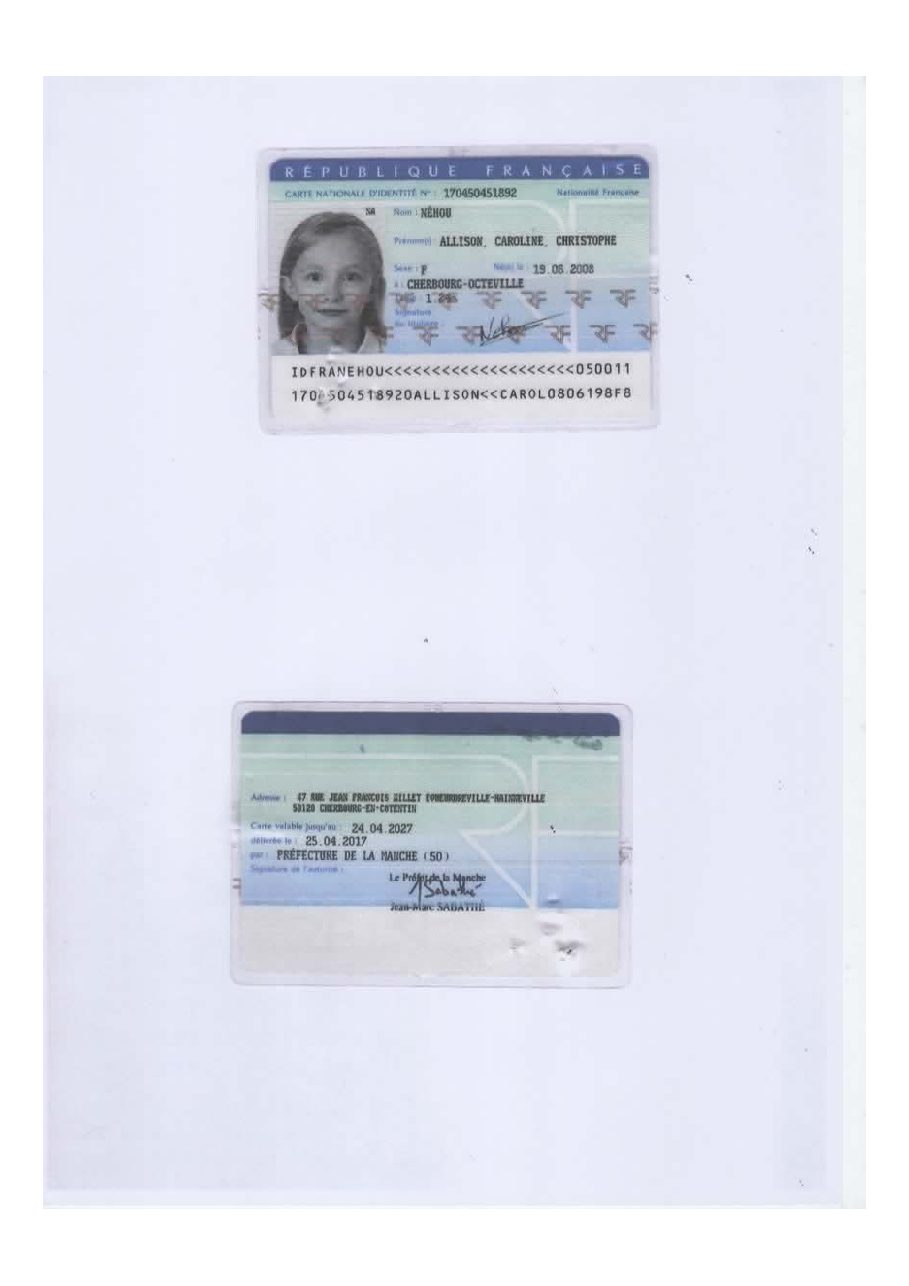 Aperçu de id allison.pdf