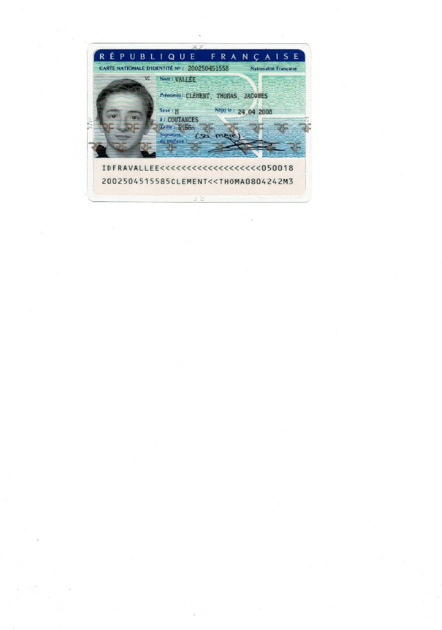 Aperçu de carte identité Clément.pdf
