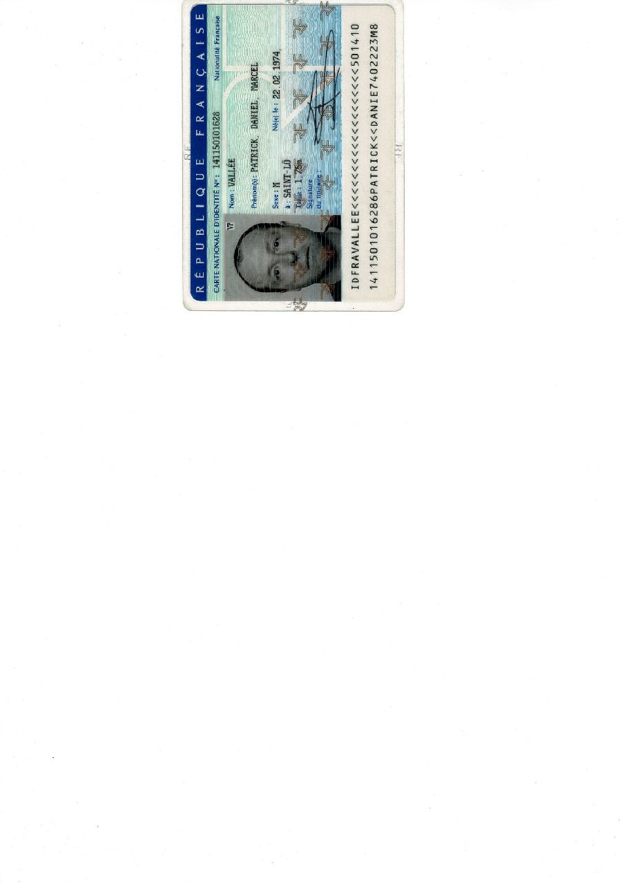 Aperçu de Carte identité Patrick.pdf