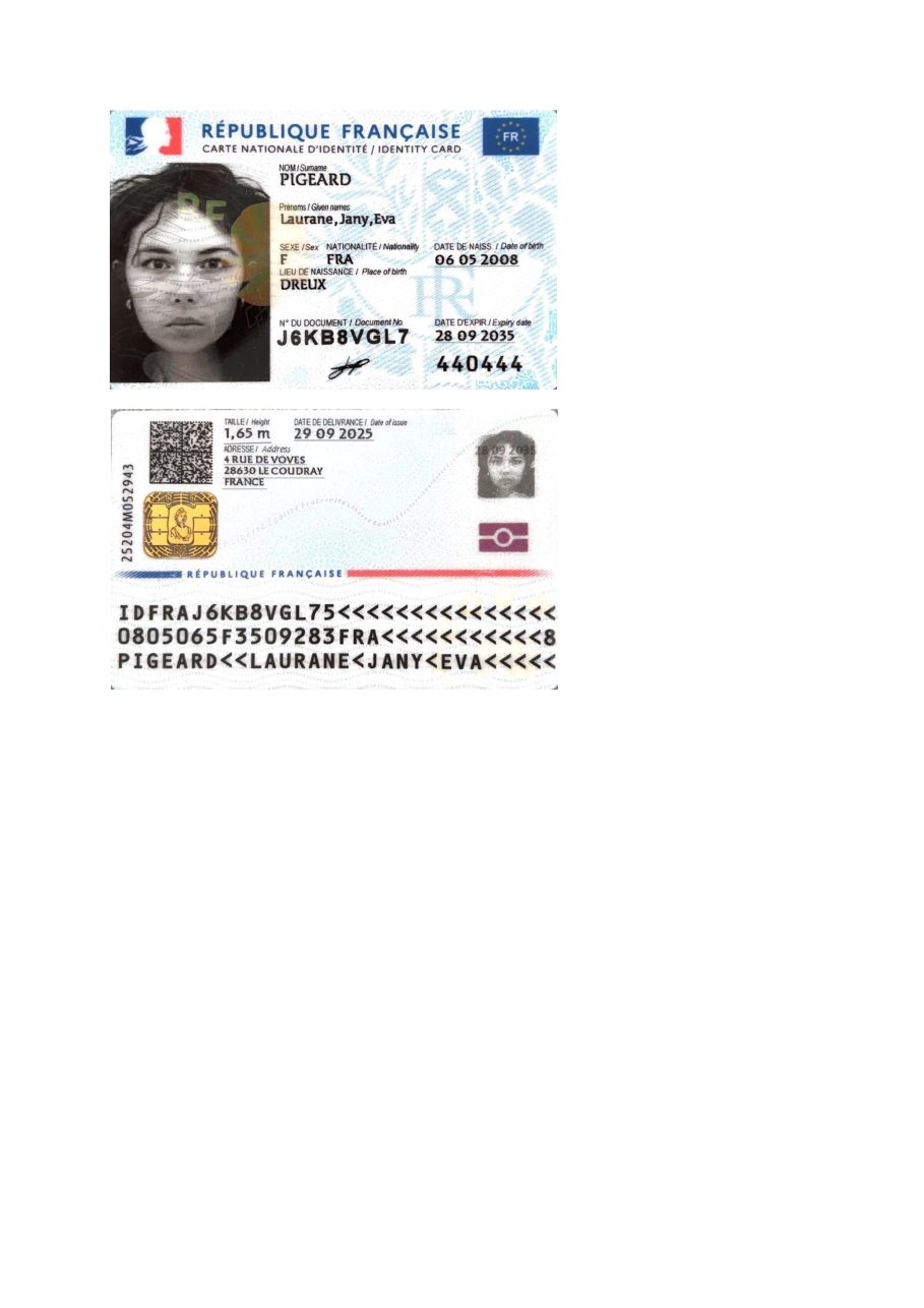 Aperçu de CNI Laurane.pdf