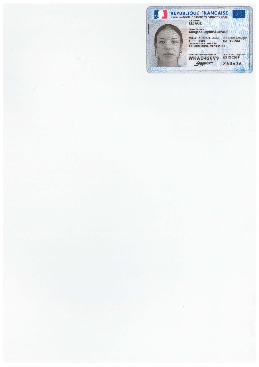 Aperçu de carte d'identité (2).pdf