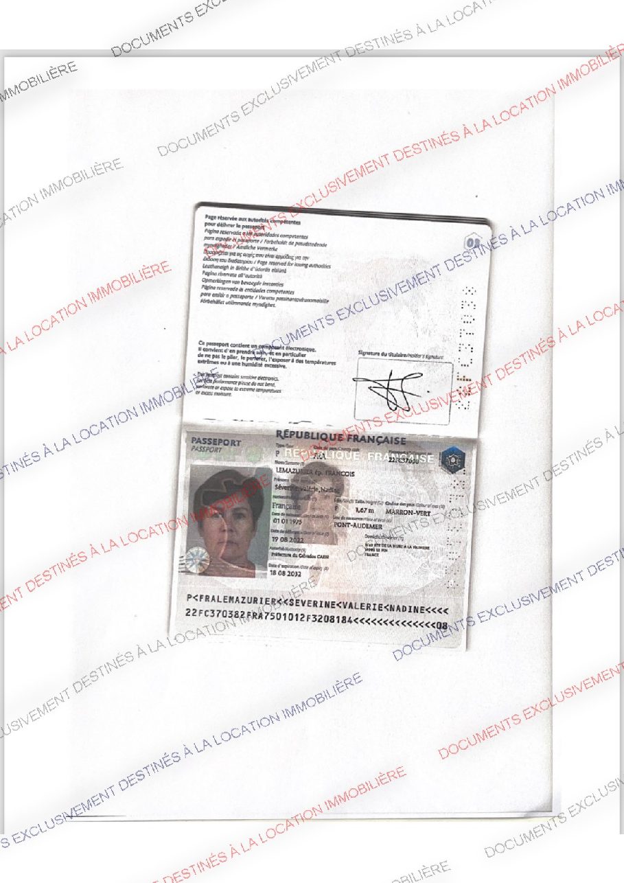Aperçu de Identité_18394104.pdf