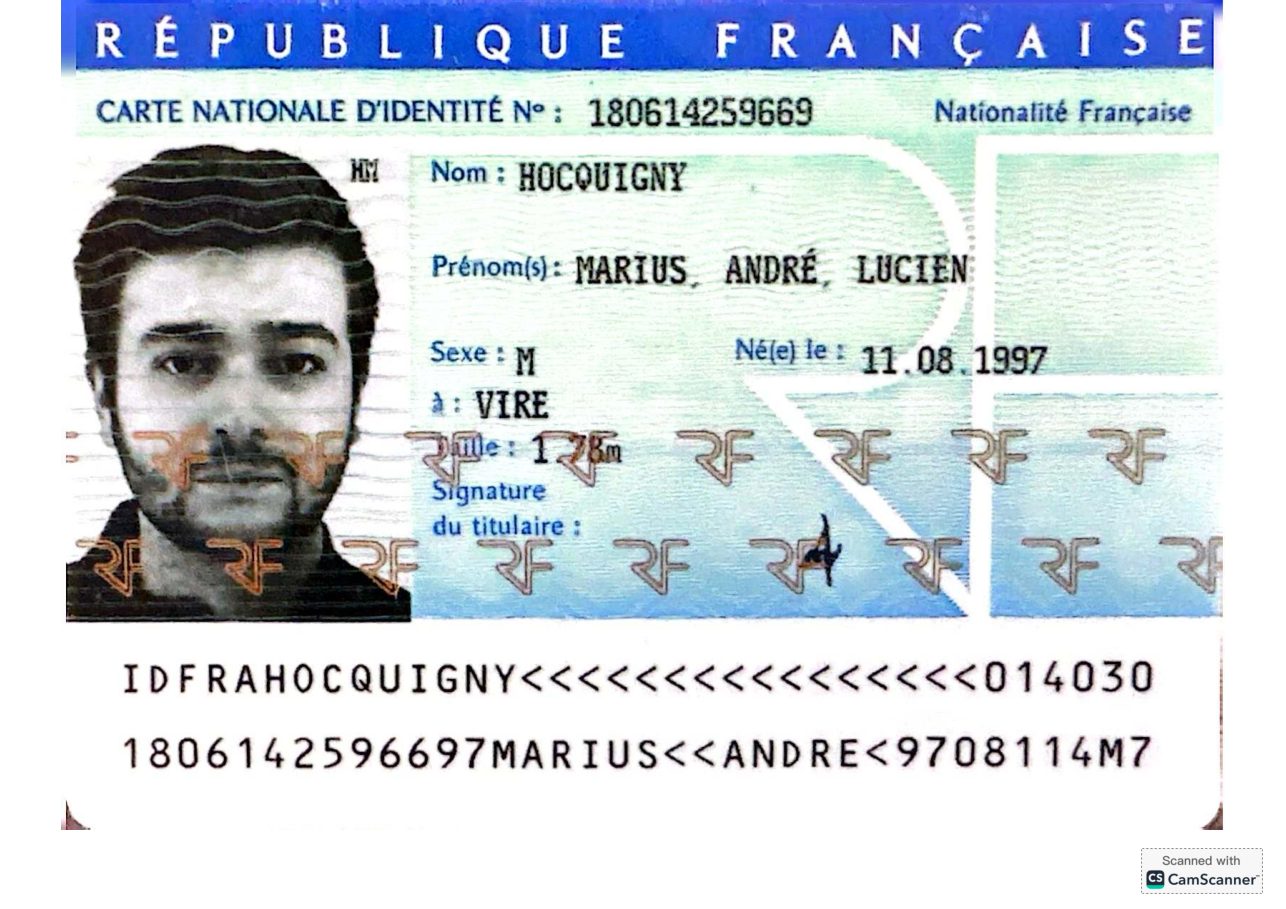 Aperçu de carte d'identité Marius.pdf
