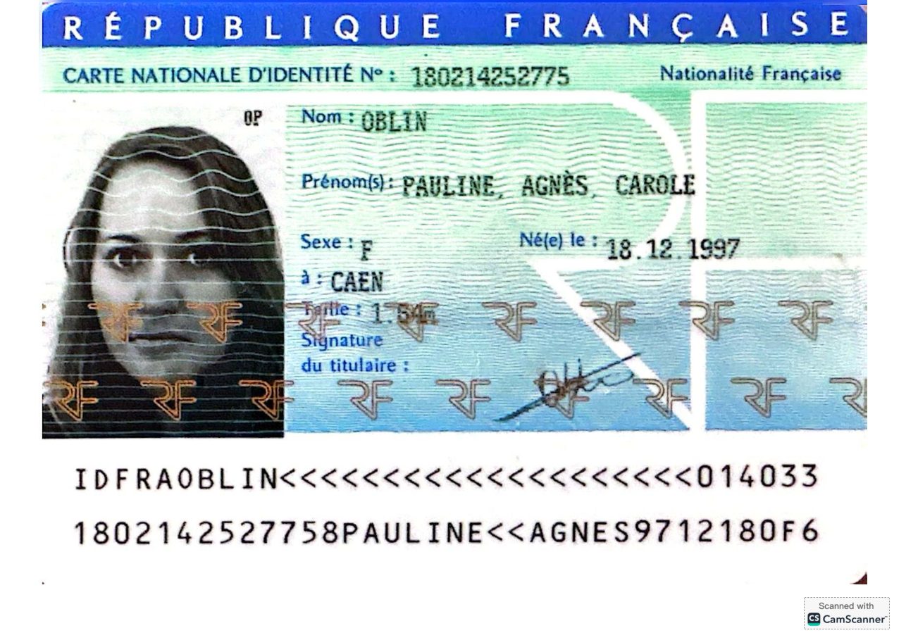 Aperçu de carte d'identité Pauline.pdf