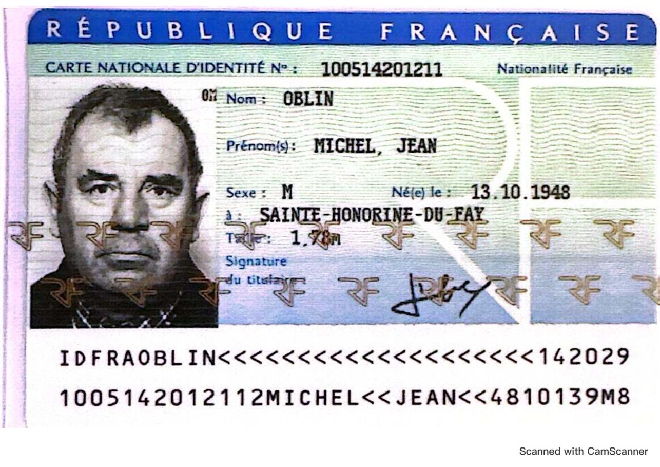 Aperçu de carte identité Michel.pdf