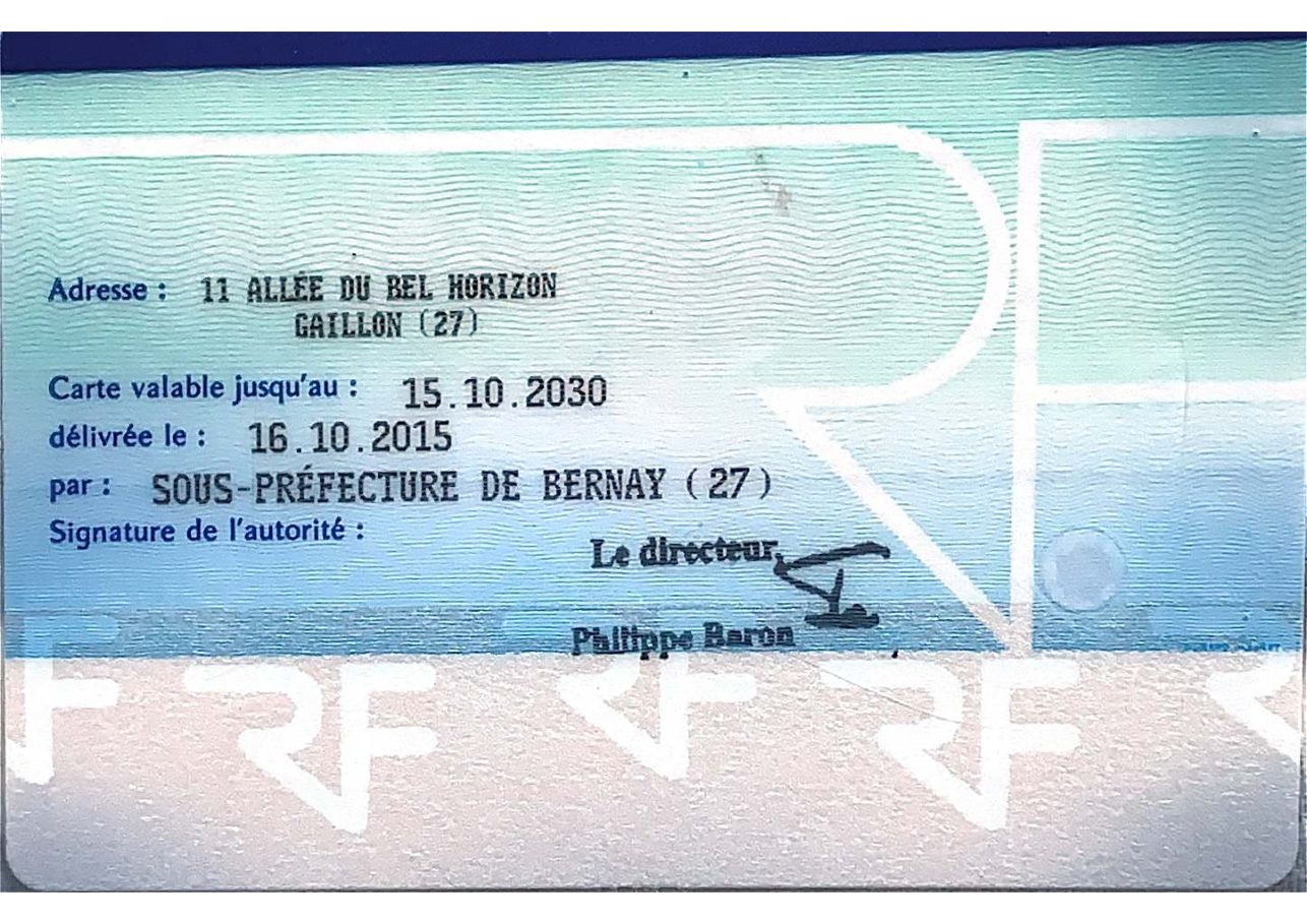Aperçu de Carte d’identité Christophe Dorey.pdf