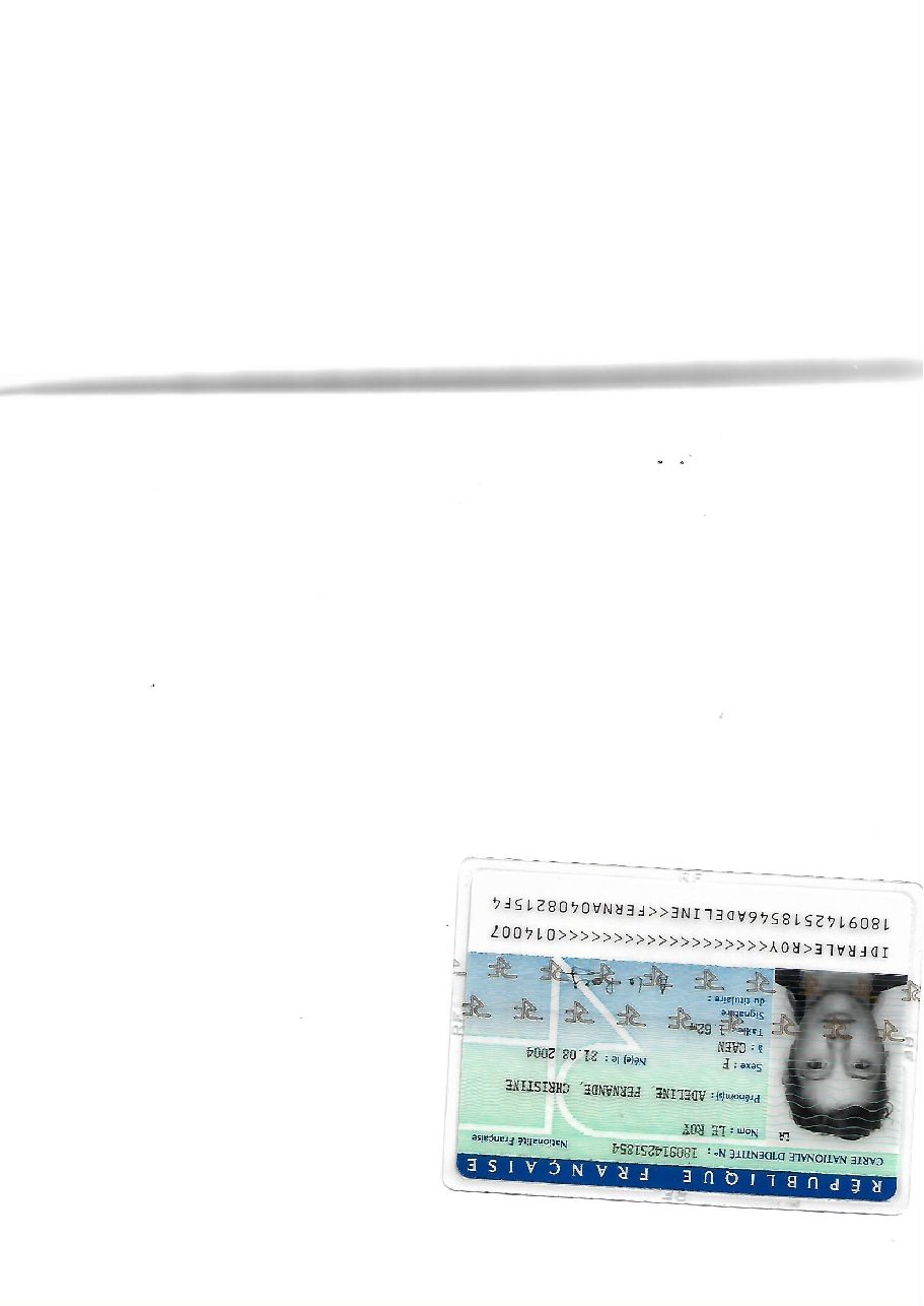 Aperçu de carte d'identité.pdf