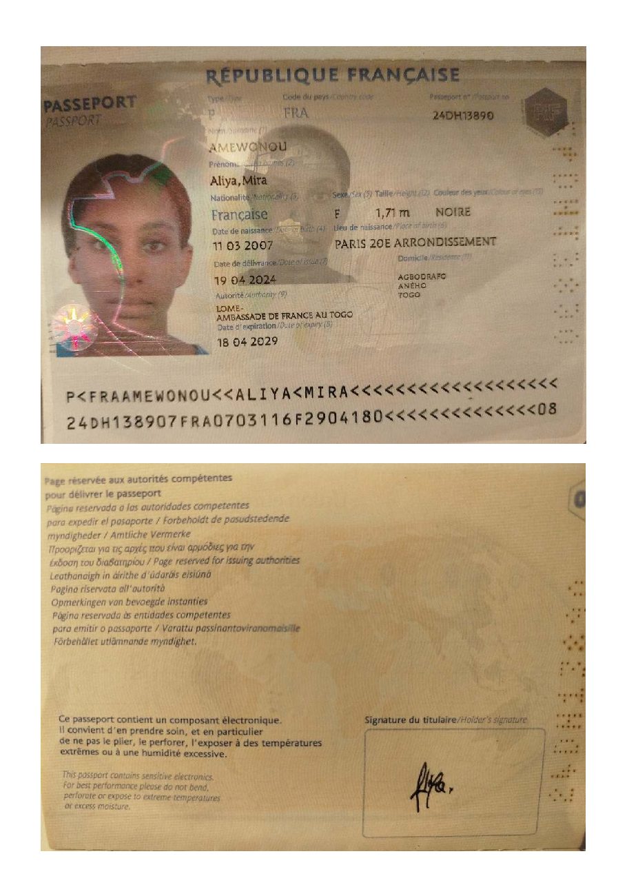 Aperçu de Carte d'identité aliya.pdf