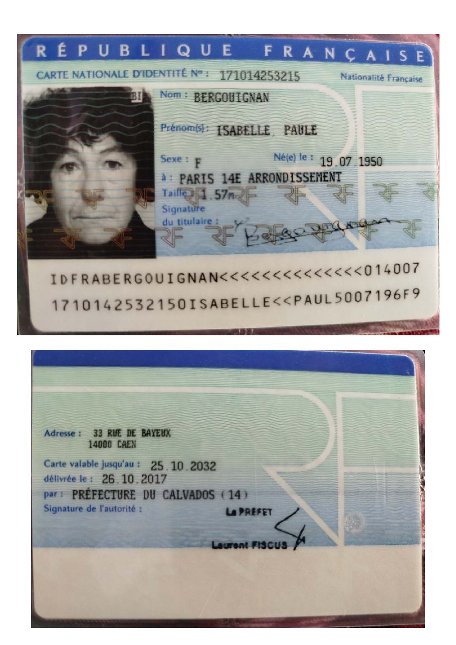 Aperçu de Carte d'identité Isabelle Bergouignan.pdf