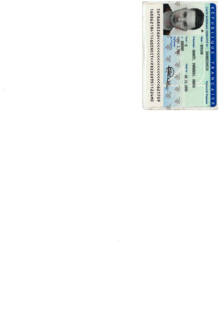 Aperçu de CARTE D'IDENTITE (ROSIAU Benoit).pdf