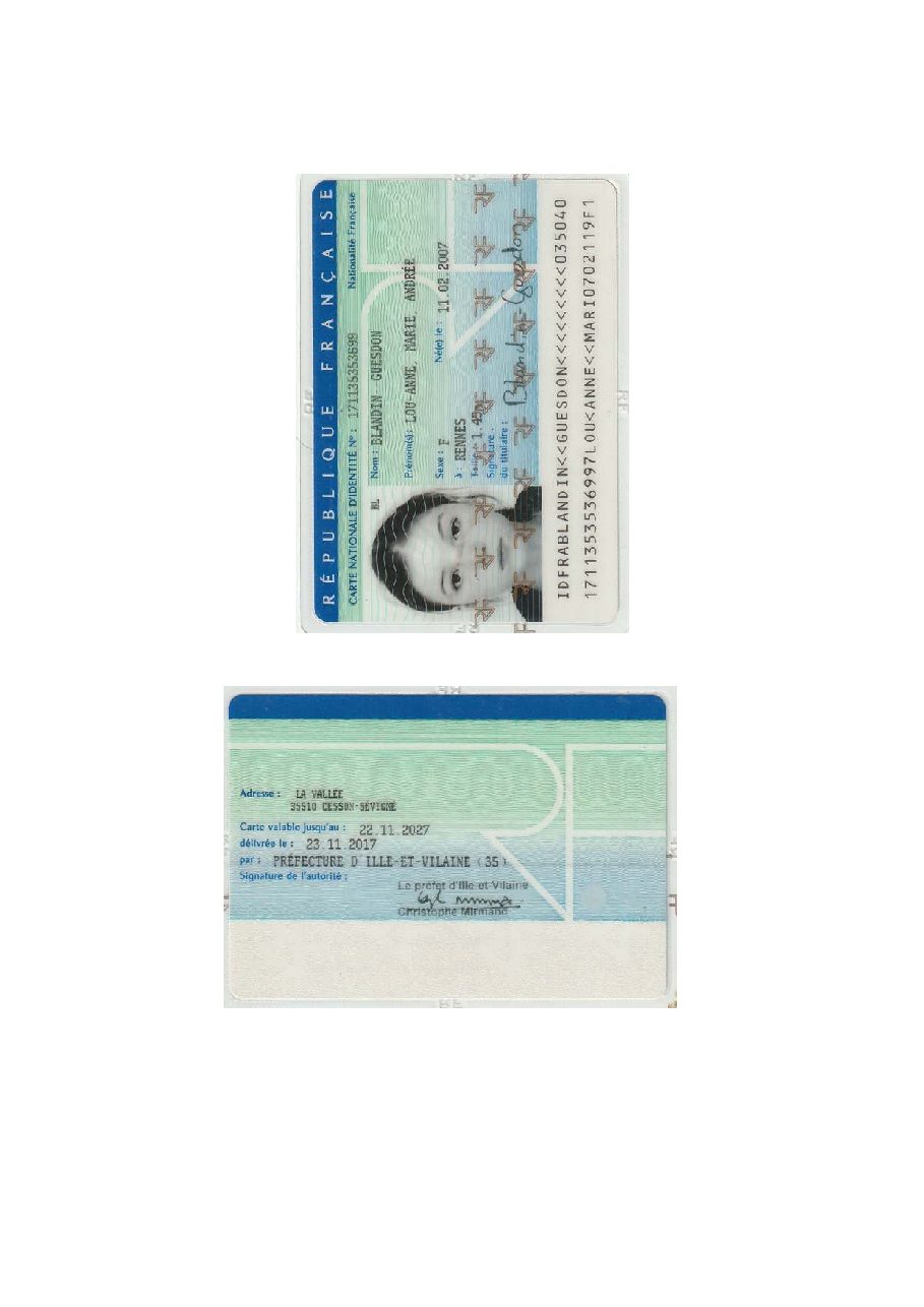 Aperçu de carte d'identité.pdf