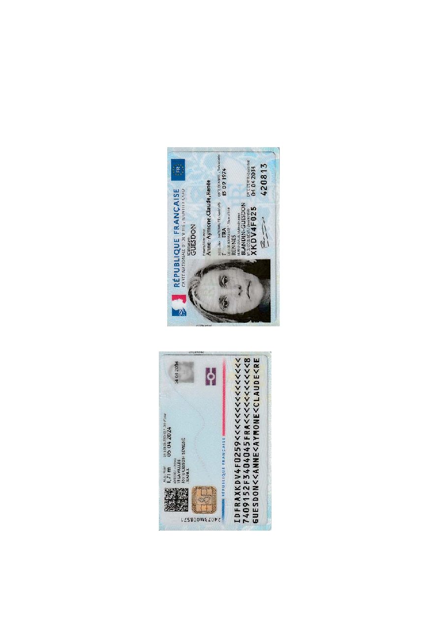 Aperçu de carte d'identité 2.pdf